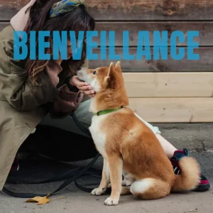 La bienveillance est essentielle pour former l'humain à comprendre son chien et pour une éducation positive du chien